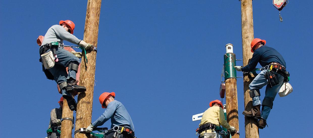 Students working on a power pole
